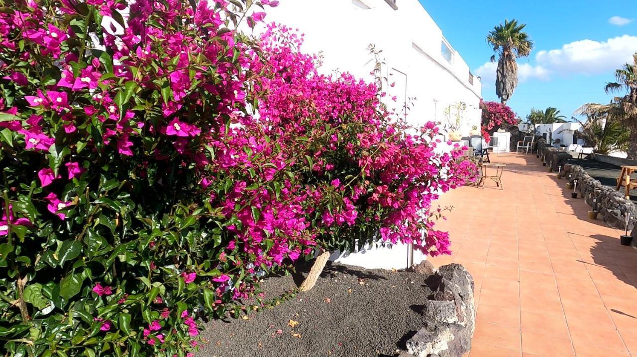 Rosa Eden Apartment La Asomada  Exterior photo